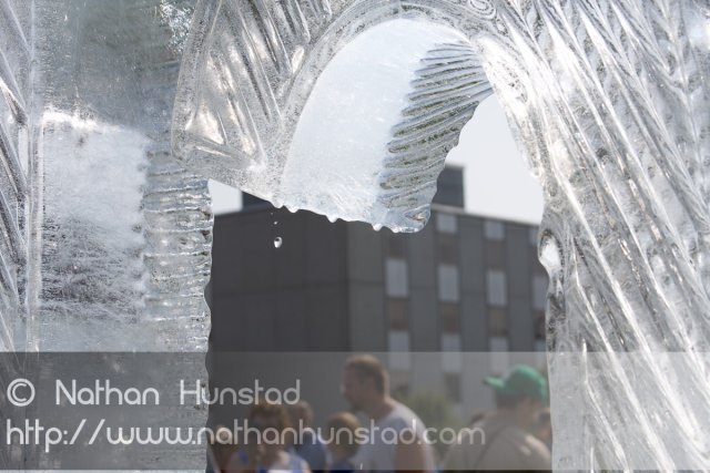 RNC_Protest_2008-09-01_IMG_1709